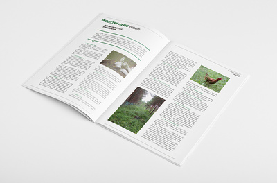 至臻設計 | 華裕農(nóng)莊內(nèi)部期刊 原創(chuàng)設計作品集錦